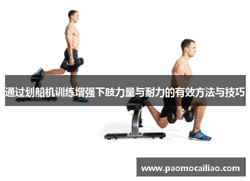 通过划船机训练增强下肢力量与耐力的有效方法与技巧