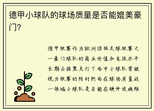 德甲小球队的球场质量是否能媲美豪门？